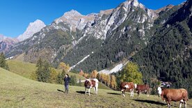 Bergbäuerinnen in Südtirol - Auf zu neuen Horizonten