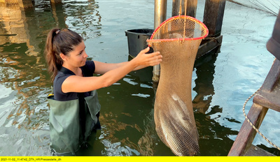 Köstliches Sardinien