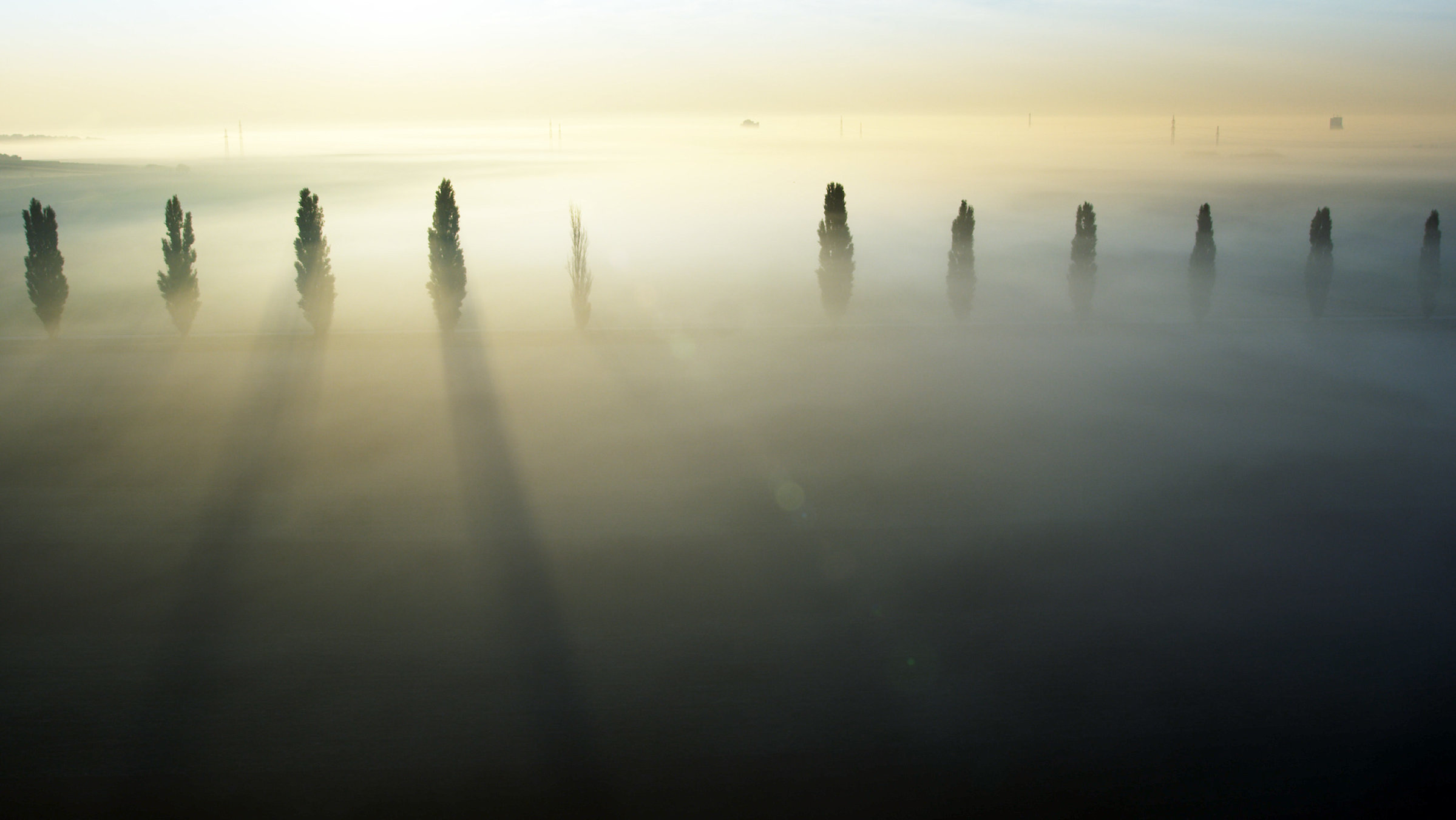 "Über Österreich - Die zweite Erkundung: Der Osten" - Eine Alleee im Nebel östlich von Ollersdorf