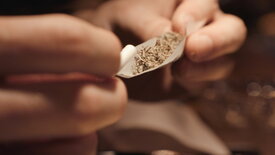 Marokkos Cannabis-Hoffnung: Kann die Legalisierung<br/>des Schwarzmarktes gelingen?