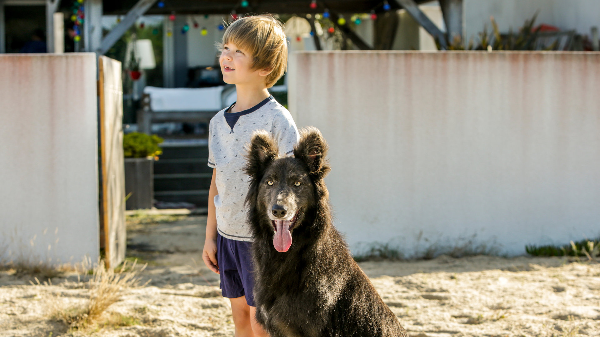 "The Last Wave - Mysteriöse Veränderungen": Thomas (Gaël Raes) steht neben einem Hund und blickt in die Ferne.