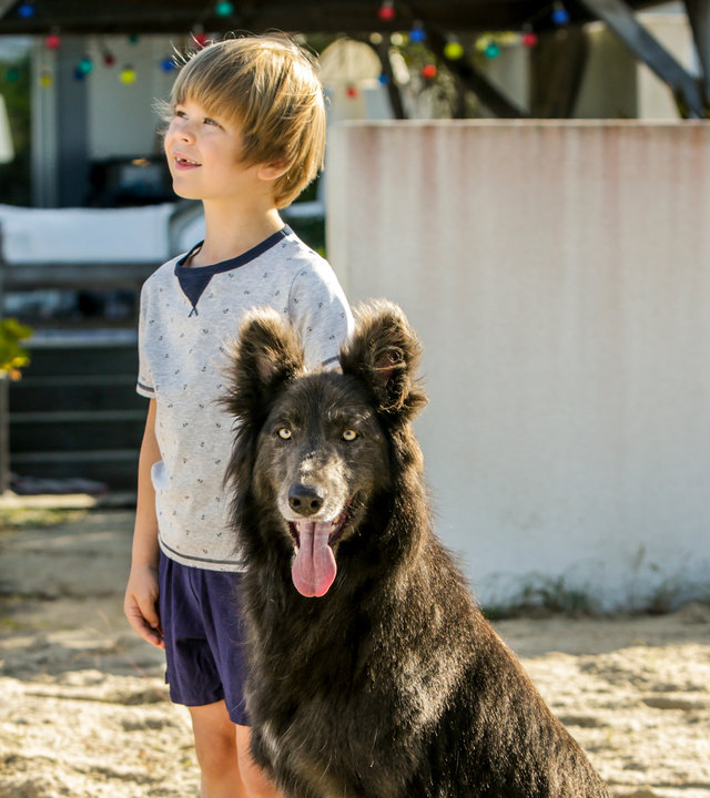"The Last Wave - Mysteriöse Veränderungen": Thomas (Gaël Raes) steht neben einem Hund und blickt in die Ferne.