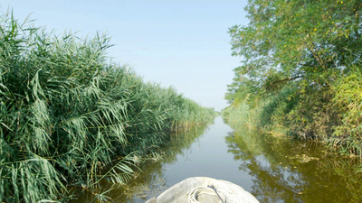 Expedition ins Schilf - Nationalpark Neusiedler See