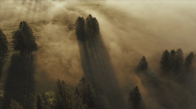 Wilde Schweiz: Waadtländer Jura