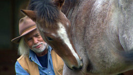Traumberuf Abenteurer - Das Universum des<br/>Naturfilmers Erich Pröll
