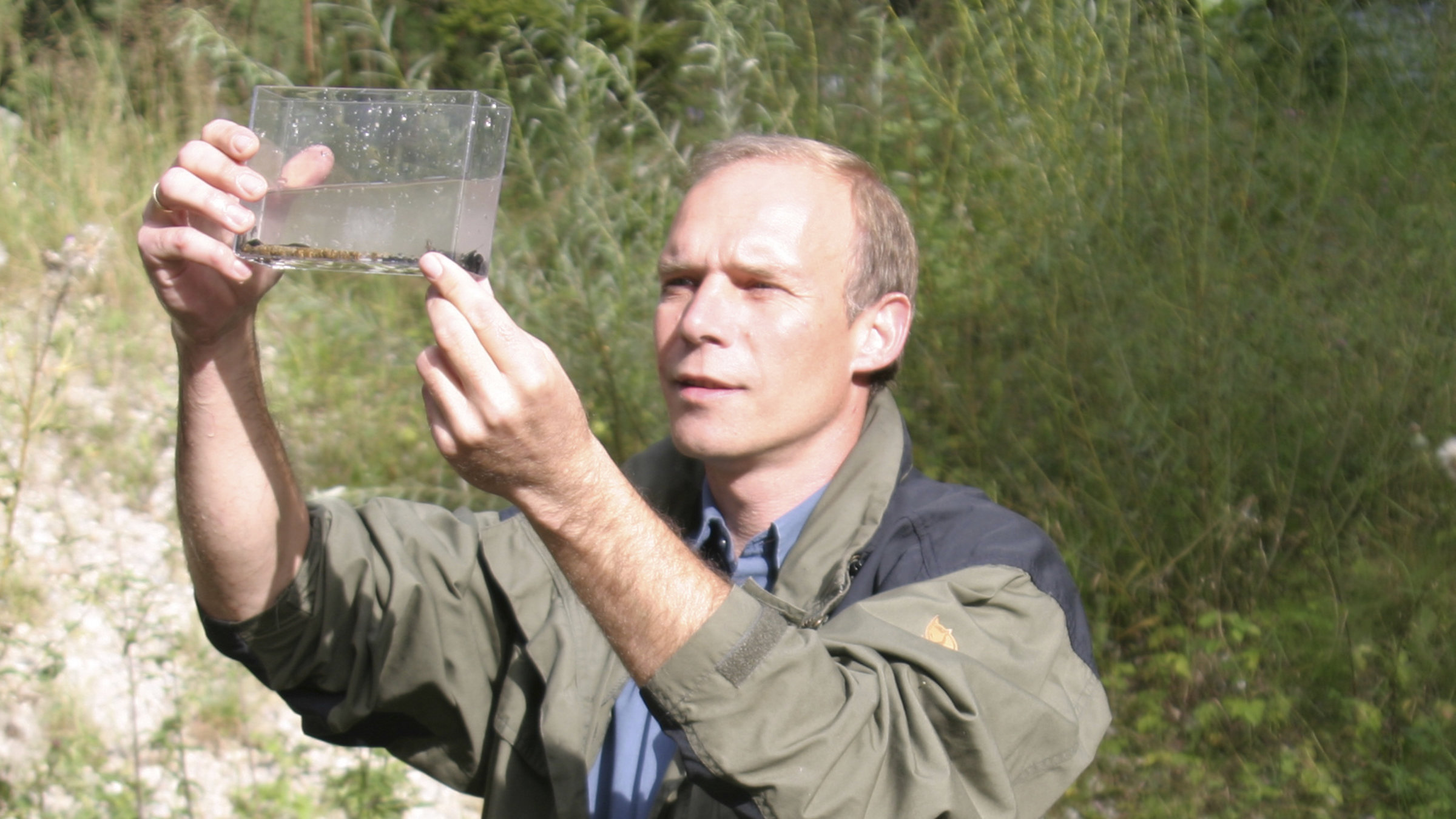 "Der Donaulachs kehrt zurück": Der Huchen-Spezialist Oliver Born untersucht Kleinstlebewesen.