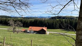 Zwischen Bergzauber und Kuhmist