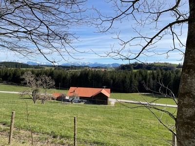Zwischen Bergzauber und Kuhmist