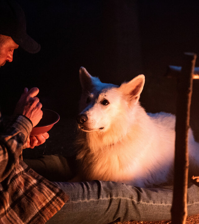 "Oxen - Angriff aus dem Dunkeln": Niels (Jacob Lohmann) sitzt im Dunkeln an einem Lagerfeuer und isst. Der Hund "White" sitzt neben ihm und blickt in seine Richtung.