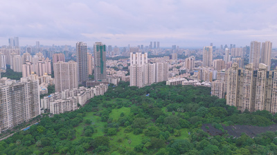 Oasen - Inseln des Lebens: Das grüne Herz von Mumbai