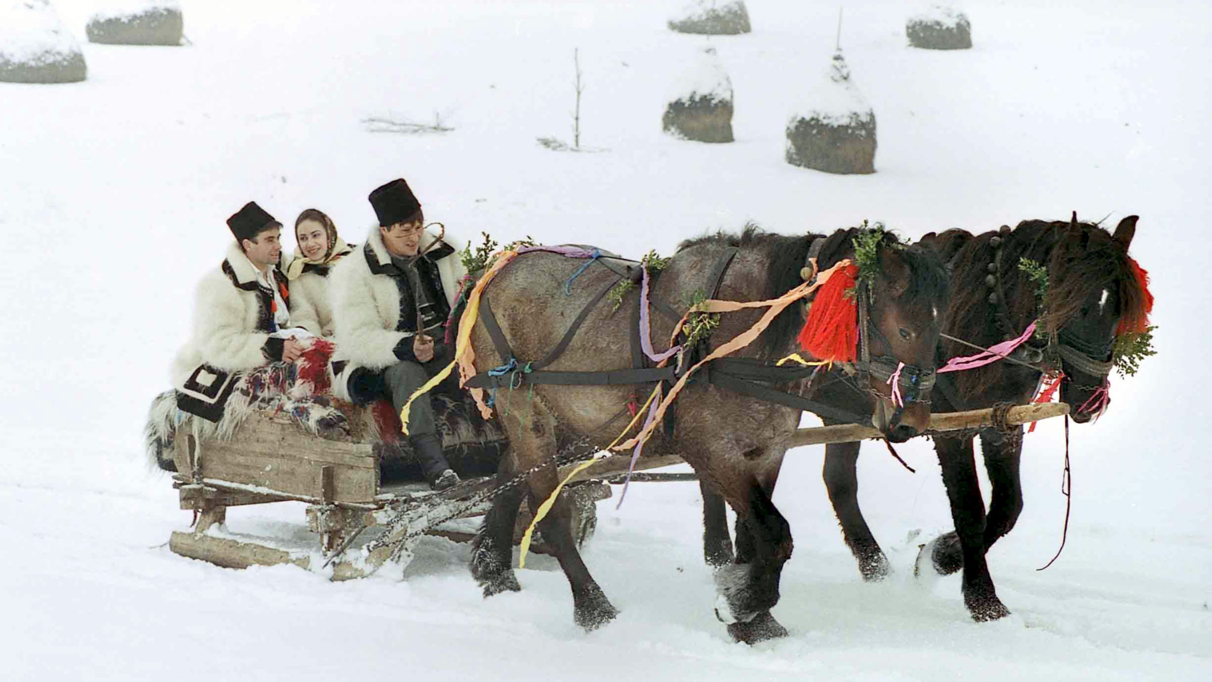 "Karpaten - Leben in Draculas Wäldern" - Vasile und Delia im Hochzeitschlitten.