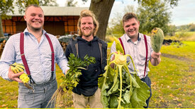 Die Nordreportage: Gemüseanbau auf Bestellung