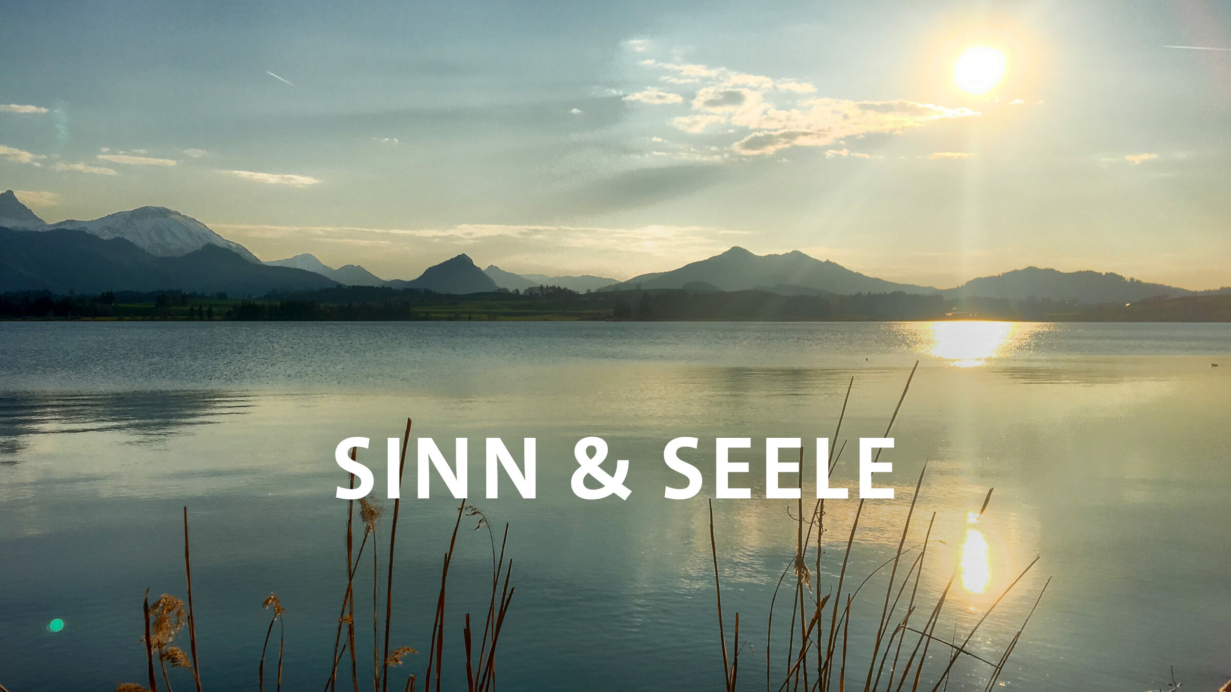 "Sinn & Seele": Key Visual/Cover Sendereihenbild mit Typo zu "Sinn & Seele".