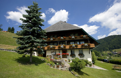 Der Schwarzwald - Tannen, Tradition, Touristen