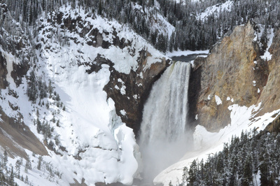 Im Zauber der Wildnis - Yellowstone