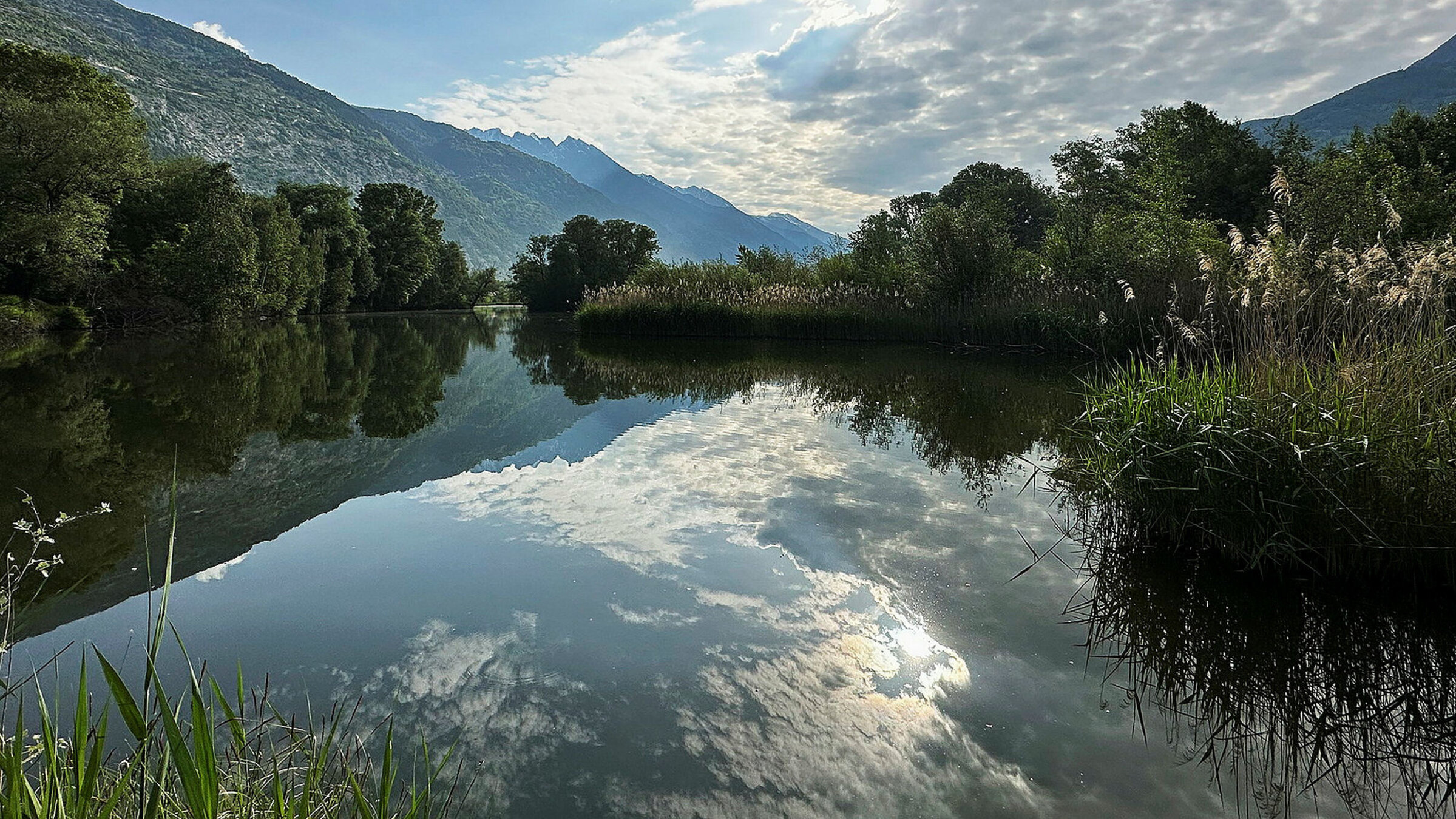 "Rendez-vous im Park: Naturpark Pfyn-Finges": Das Leukerfeld im Naturpark Pfyn-Finges ist schweizweit einer der besten Orte, um seltene Vogelarten zu beobachten.