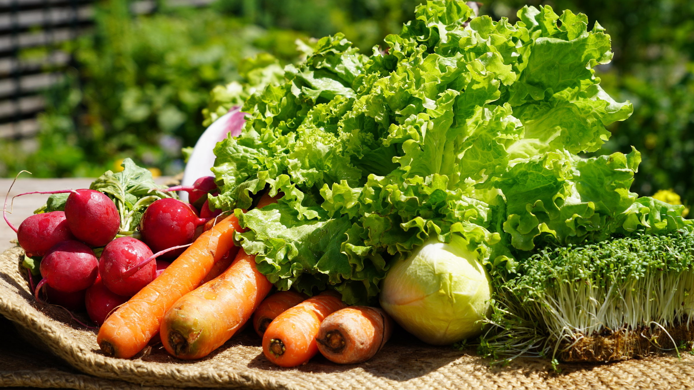 "Natur im Garten": Radischen, Möhren, Kolrabi, Kresse und Salat liegen nebeneinander.