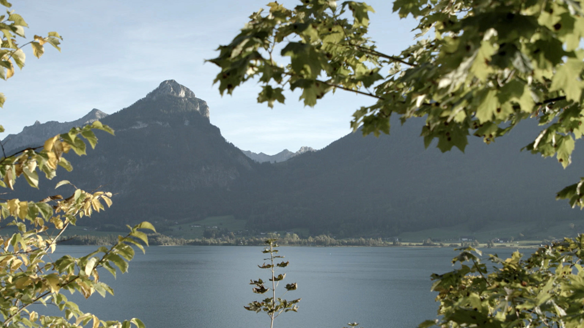 "Bergleben rund um den Wolfgangsee": Blick auf den Wolfgangsee