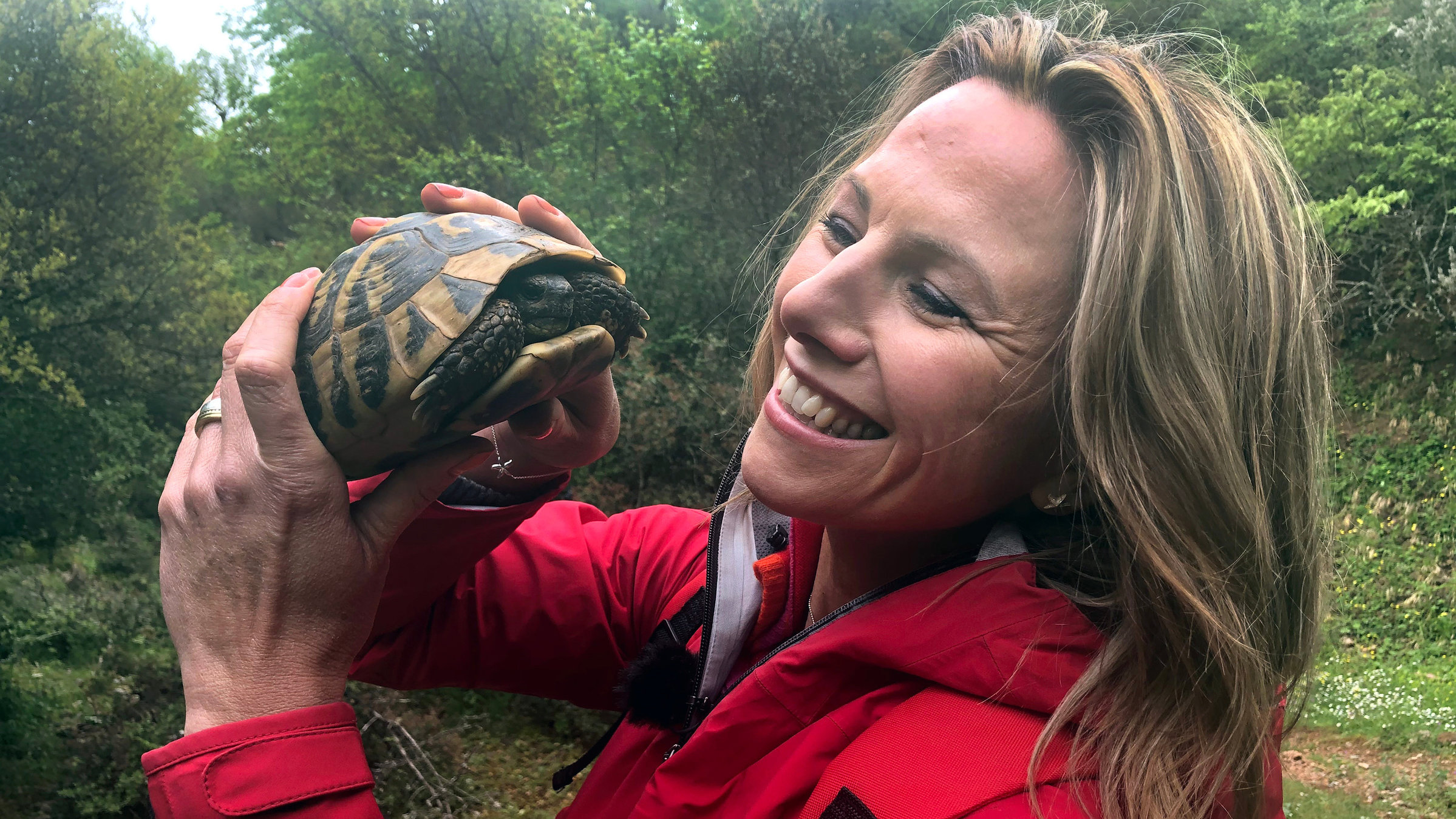 "Im Frühling auf dem Peloponnes": Durch die Schlucht des Kentauren fließt der Erymanthos, der bei Paddlern und Kajaksportlern beliebt ist. Auf dem Wanderweg entlang seines Ufers kann man sogar Schildkröten entdecken.