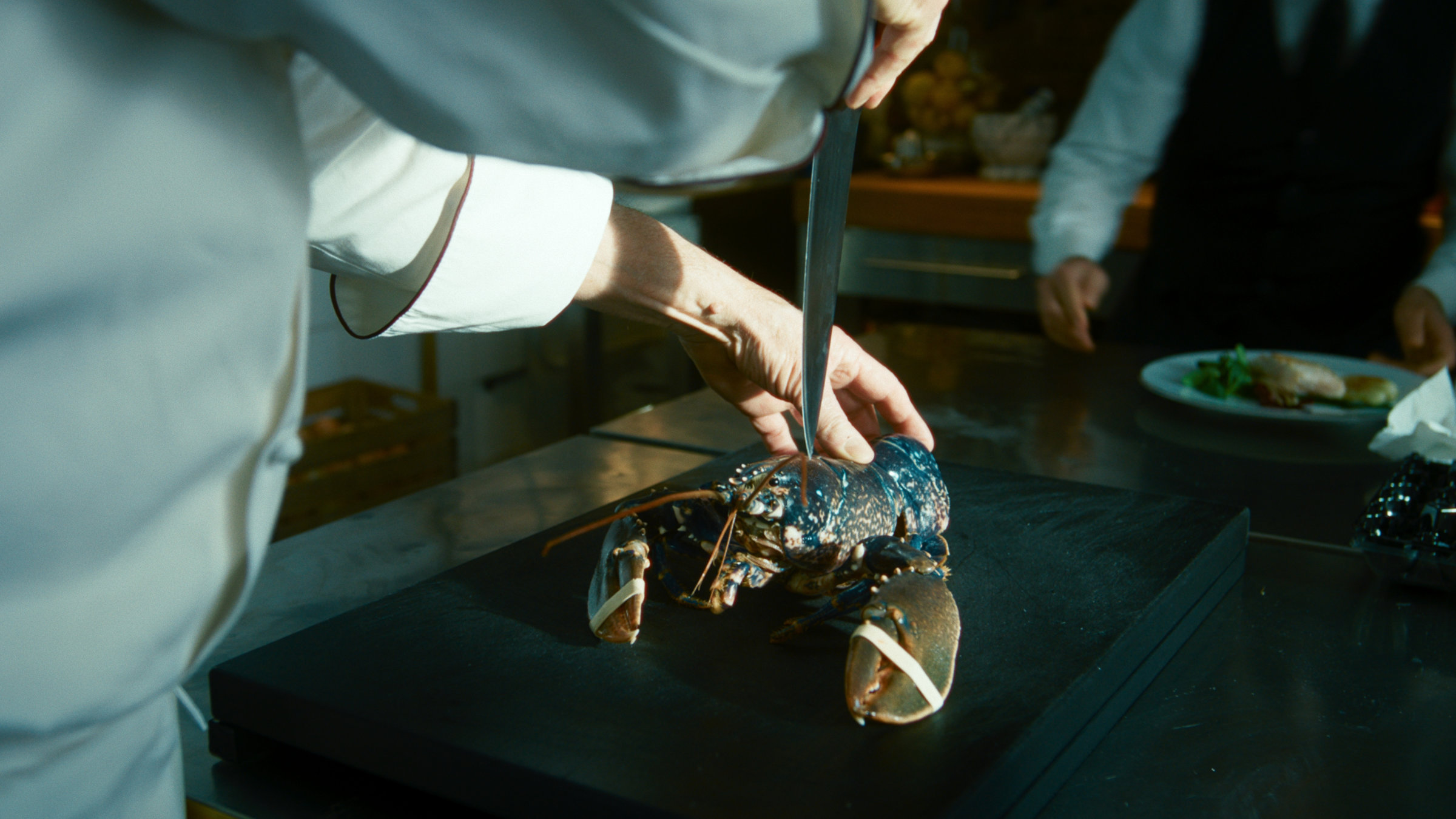 "Der Schwarm - Folge 2": Ein Koch hat ein spitzes Küchenmesser hinter dem Kopf eines Hummers angesetzt, der vor ihm auf einem Tisch liegt.