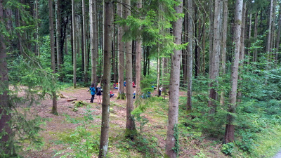 Wunderbare Waldwelt - Wie diese grünen Oasen zum<br/>Klimaschutz und zu unserer Gesundheit beitragen