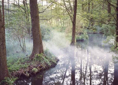 Spreewald - Labyrinth des Wassermanns