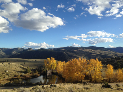 Im Zauber der Wildnis - Yellowstone