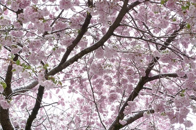 Die Macht der Jahreszeiten: Frühling & Sommer