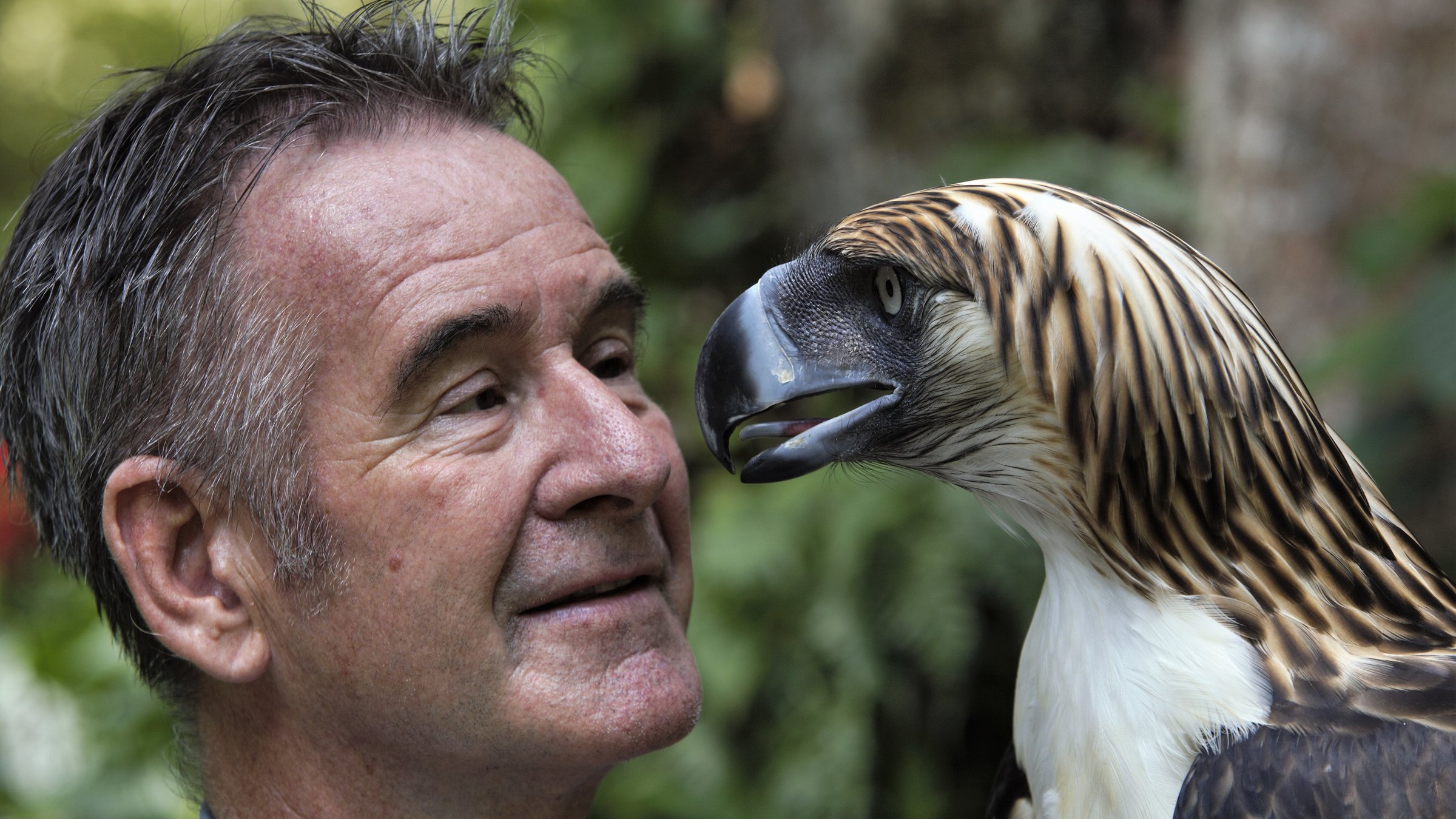 "Die wilden Philippinen: Der geheimnisvolle Süden": Nahaufnahme von Nigel Marven und dem Kopf eines Philippinenadlers im Profil.