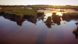 Nationalpark Neusiedler See-Seewinkel -<br/>Ein Naturjuwel im Wandel