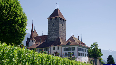 Schlösser und Burgen der Schweiz