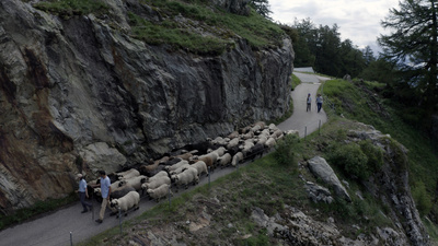 Schweizer Flussgeschichten – An der Rhône