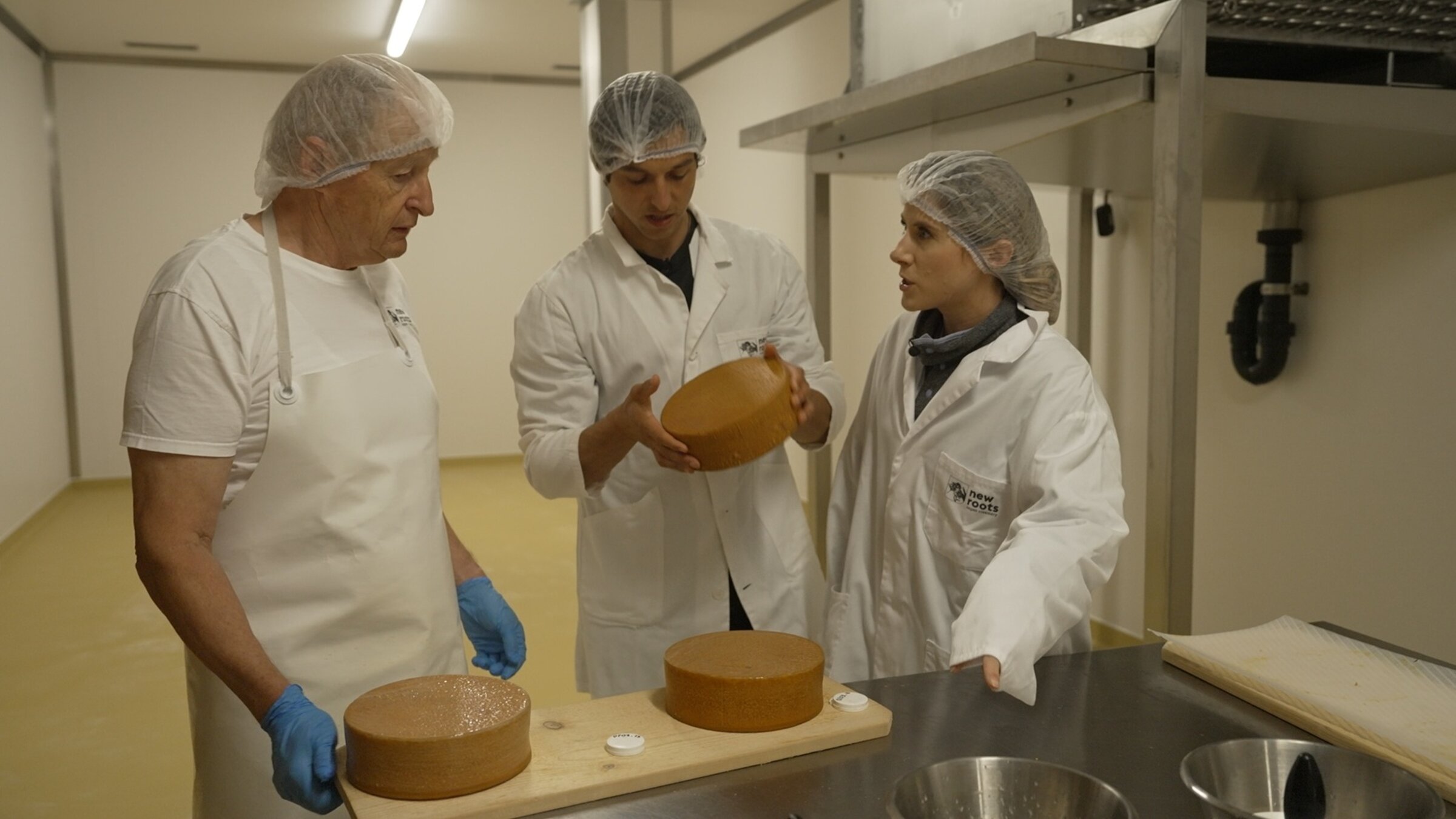 "Die Schweiz â Innovationsweltmeisterin": Die vegane KÃ¤serei New Roots experimentiert mit SÃ¼Ãlupinen. Sie kÃ¶nnten lokal angebaut werden und fÃ¼r einen geschlossenen Kreislauf sorgen.