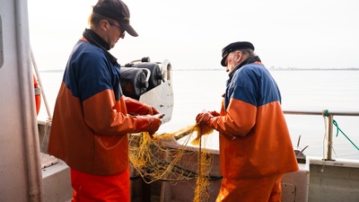 makro: Welcher Fisch darf auf den Tisch?