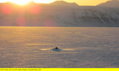 Menschen am Rande der Welt – Spitzbergen