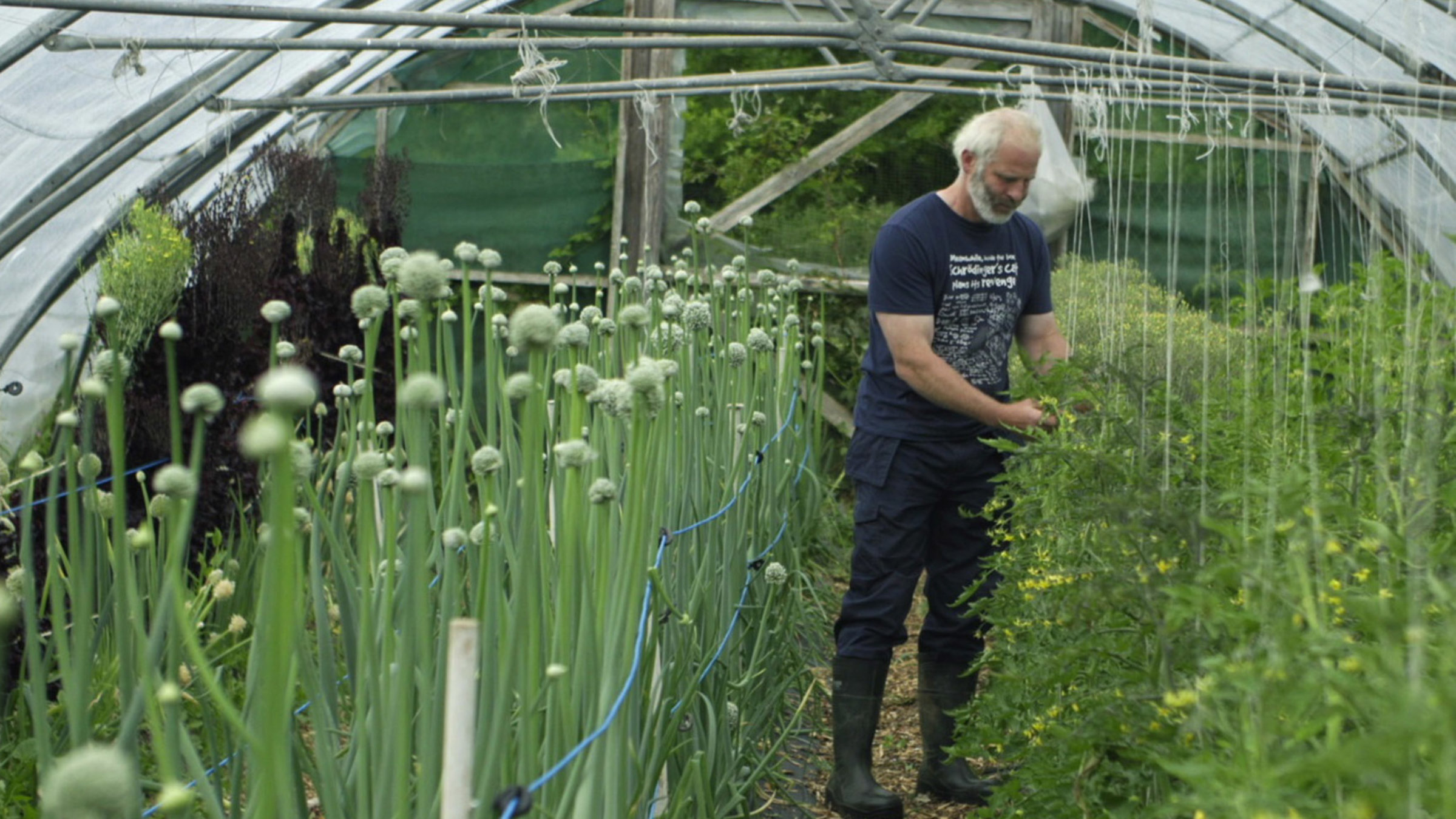 "Irischer Kompass - Grüner Süden": Bio-Landwirt Thomas O’Connor, Tralee County Kerry