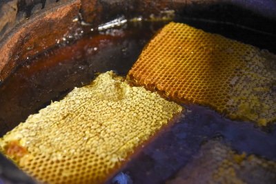 Honig – Süße Leidenschaft
