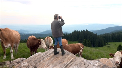 Am Fuß der Koralpe - Von der Soboth bis zur Weinebene