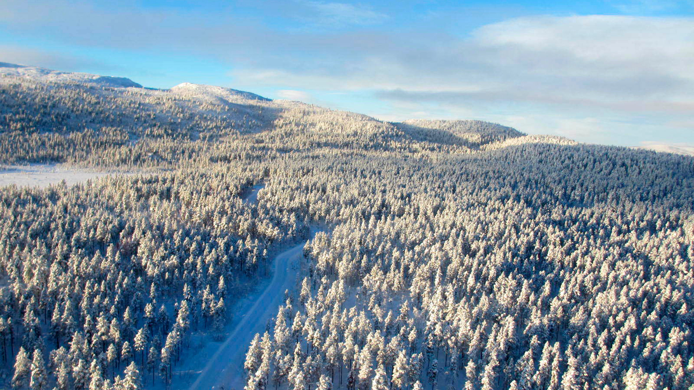 "Menschen am Rande der Welt - Lappland": Winterwald in Lappland.