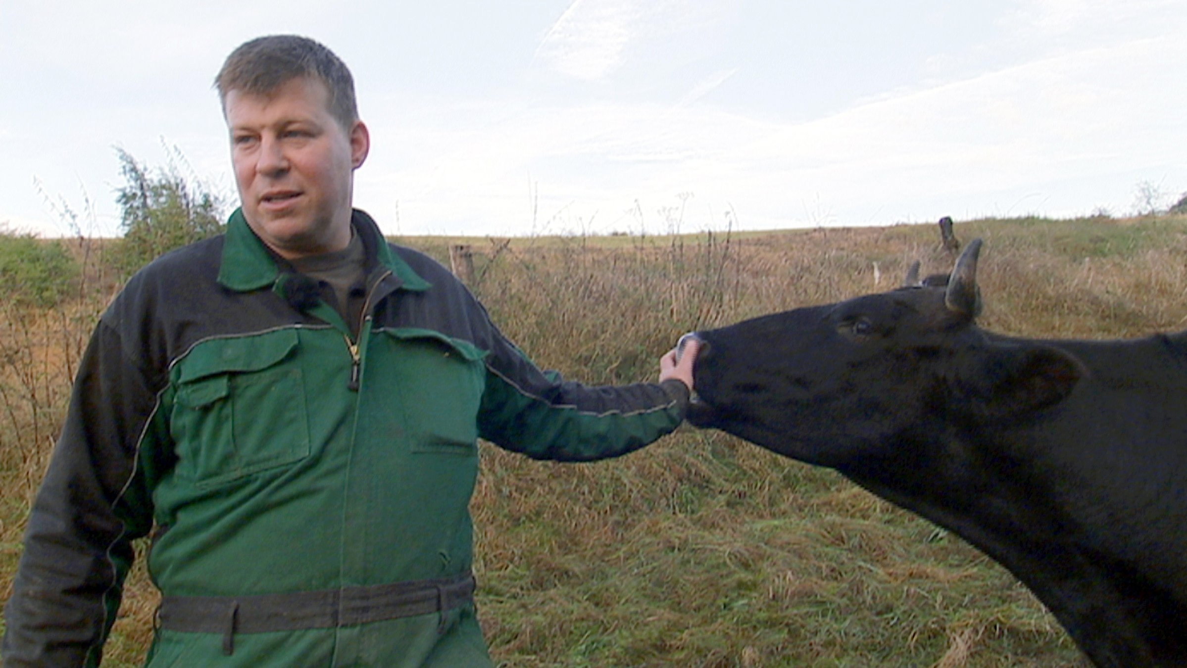 "Hessenreporter: Der Hofretter - wenn Bauern in Not sind" - Martin Rotzoll neben einer Kuh.