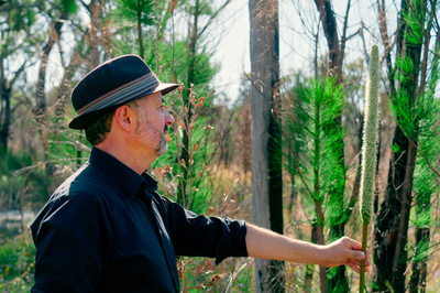 In den Feuerwäldern Westaustraliens - Die Walpole Wilderness