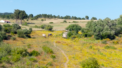 Naturparks in Portugal: Naturpark "Sintra-Cascais"
