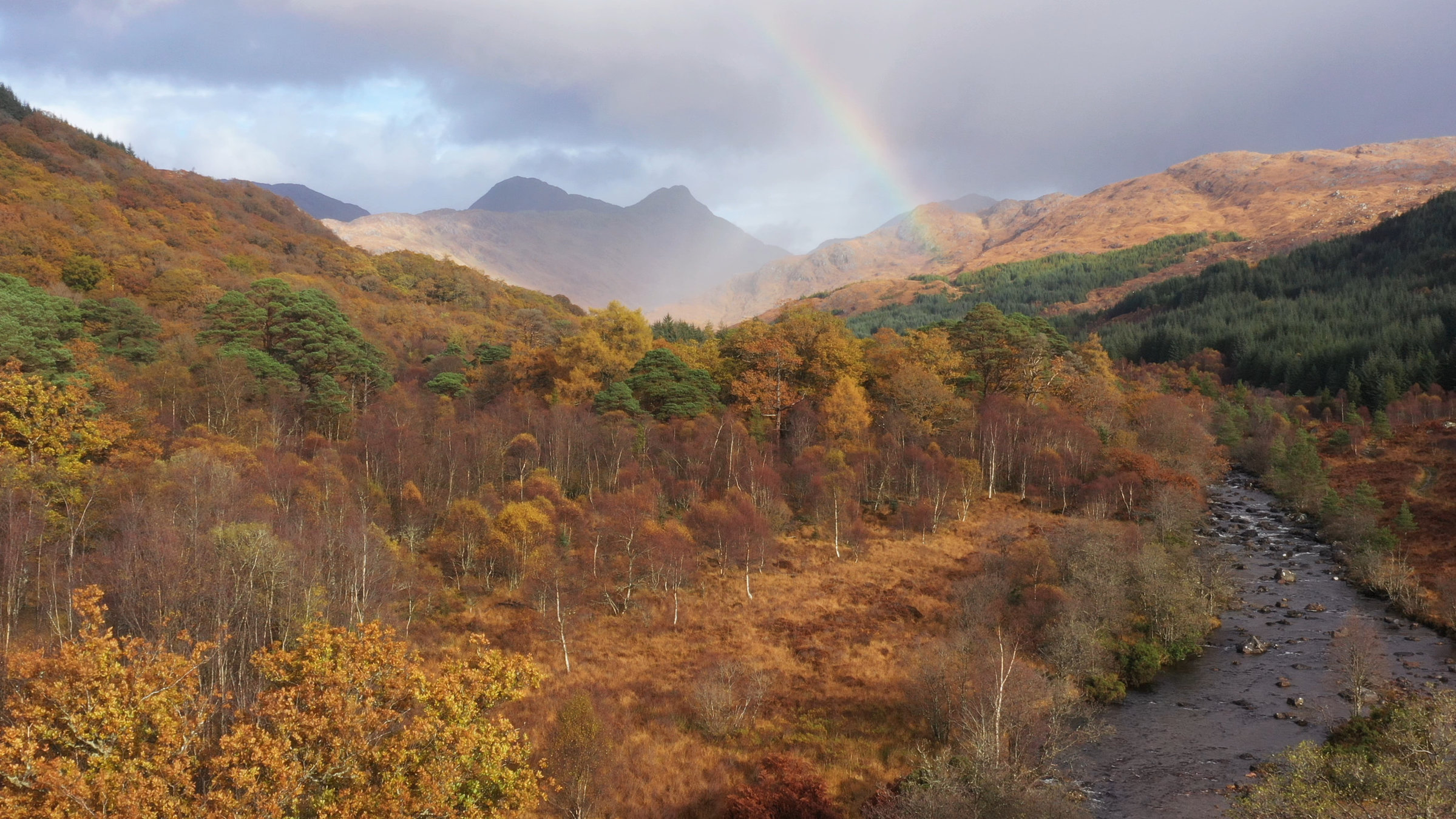 "Schottlands wilde Jahreszeiten (3/4) - Herbst": Landschaft in Herbstfarben.