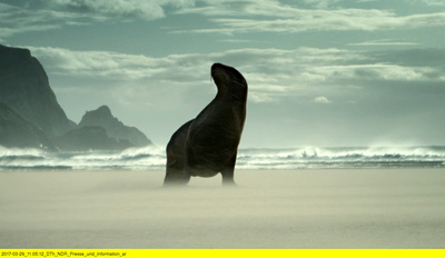 Wildes Neuseeland (2/3)