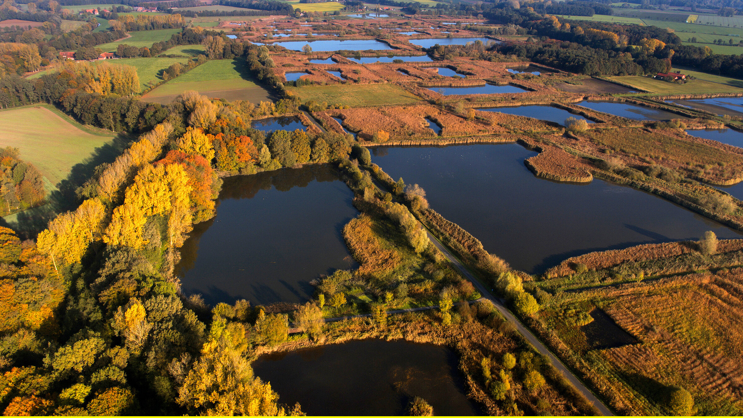 "Wasserwildnis in Westfalen - Münsters Rieselfelder": Der Herbst färbt das Schilf der Wasserwildnis rotbraun. Die schachfeldartige Anordnung der Stauteiche erinnert an den Ursprung der Rieselfelder, als vormoderne Kläranlage der Stadt Münster.