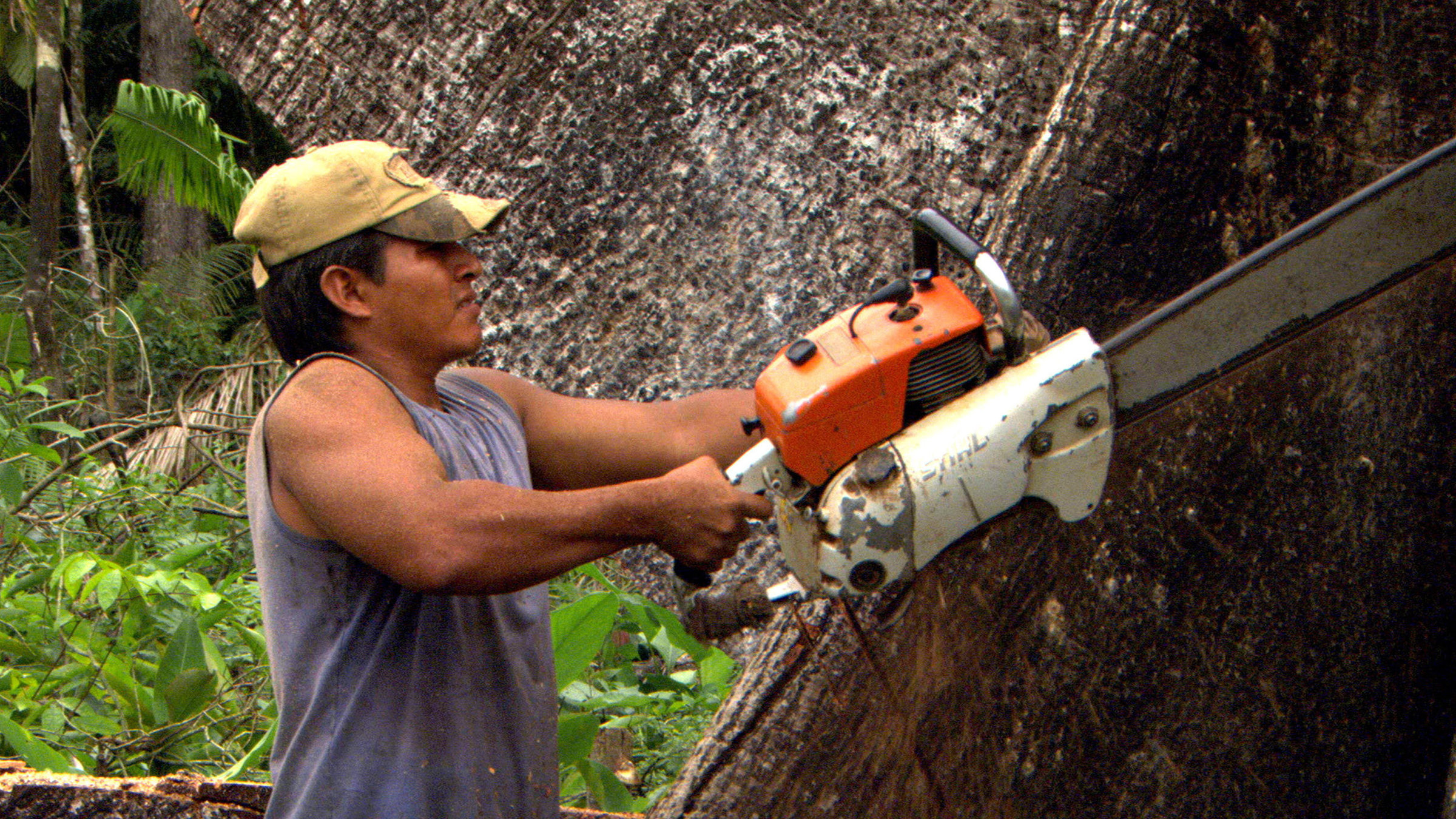 "Mythos Amazonas: Alarm im Regenwald" - Baumfäller im Regenwald.