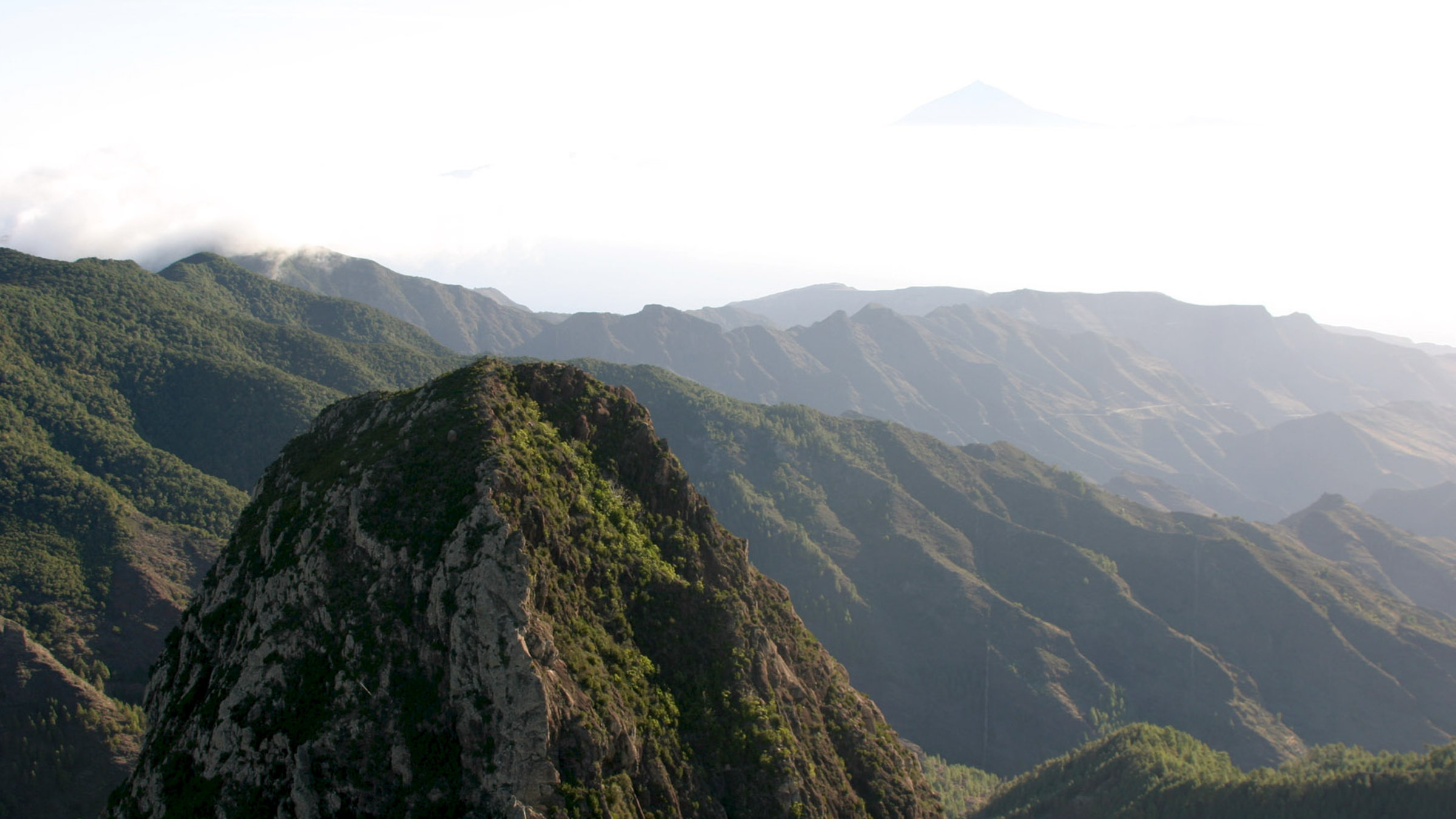"Europas Urwälder: La Gomeras Nebelwald": Die Magie und Vitalität des Lorbeerwalds von La Gomera speist sich aus dem Dunst und Nebel, der ihn häufig umhüllt. Nur der feuchte Passatwind sichert eine permanente Versorgung und damit das Überleben dieses grünen Paradieses.