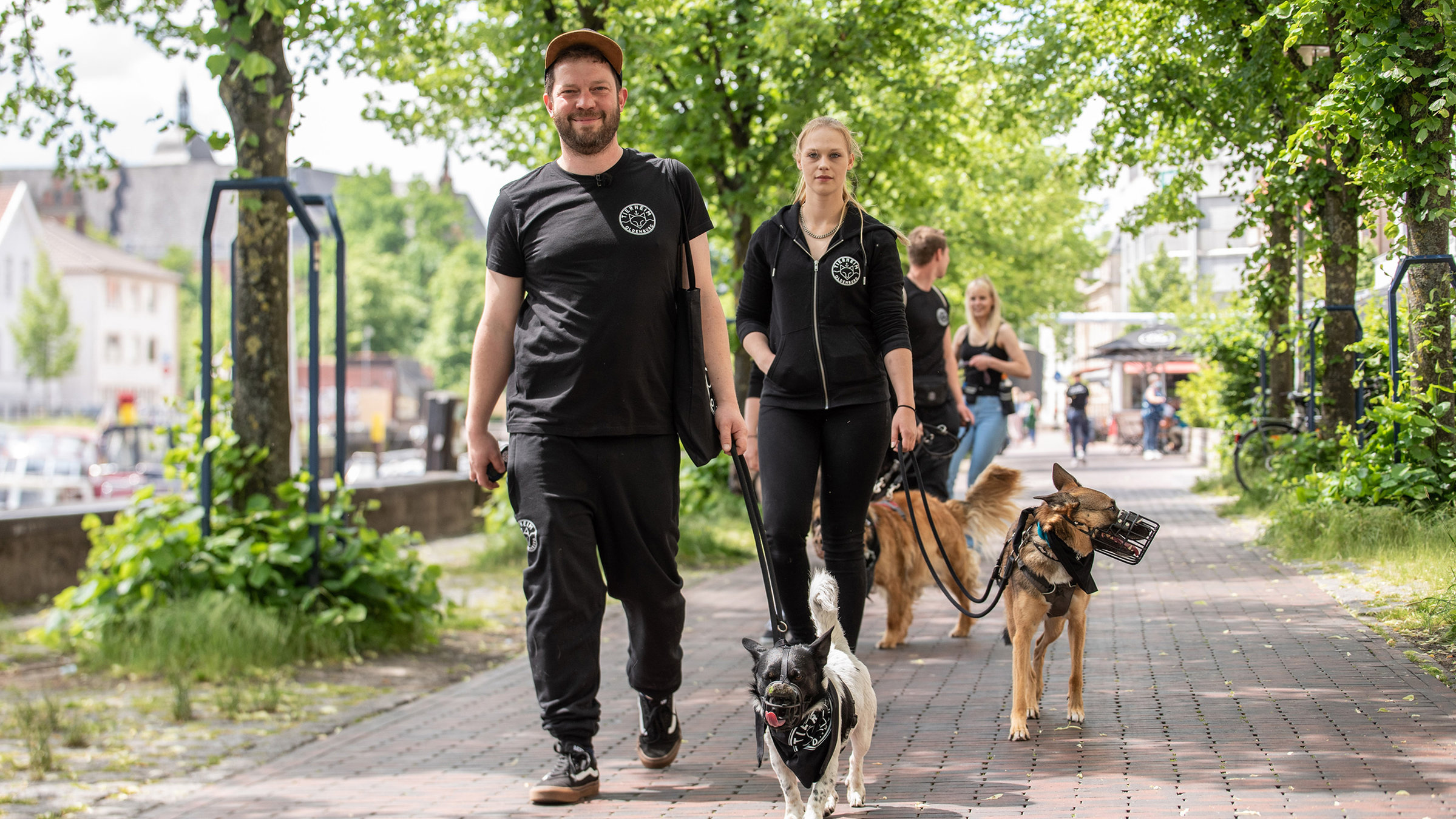 "Die Nordreportage - Großes Herz für schwierige Hunde - Tierheim-Chef im Dauereinsatz": Tierheim-Leiter Dominic Köppen mit einer Gruppe von schwierigen Hunden unterwegs in Oldenburg.