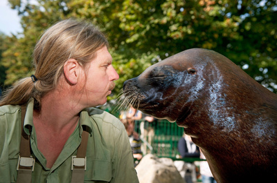 Schönbrunner Tiergeschichten - Leben im Zoo