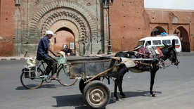 Marrakesch, da will ich hin!